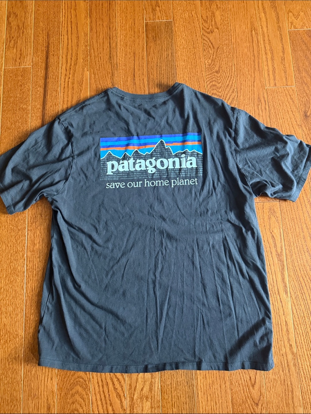 Patagonia Short Sleeve Crew T-Shirt in Grey with White Logo - Picture 2 of 3